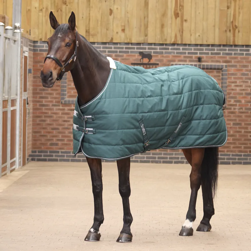 Tempest Original 200g Stable Rug Emerald
