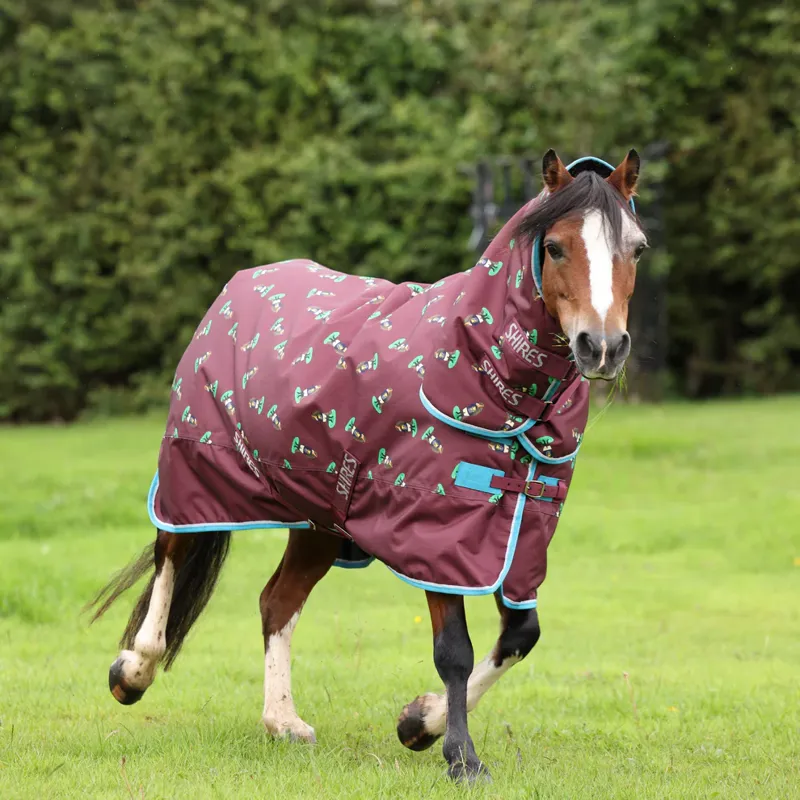 Winnie and Me 200g Turnout Rug in Maroon-5