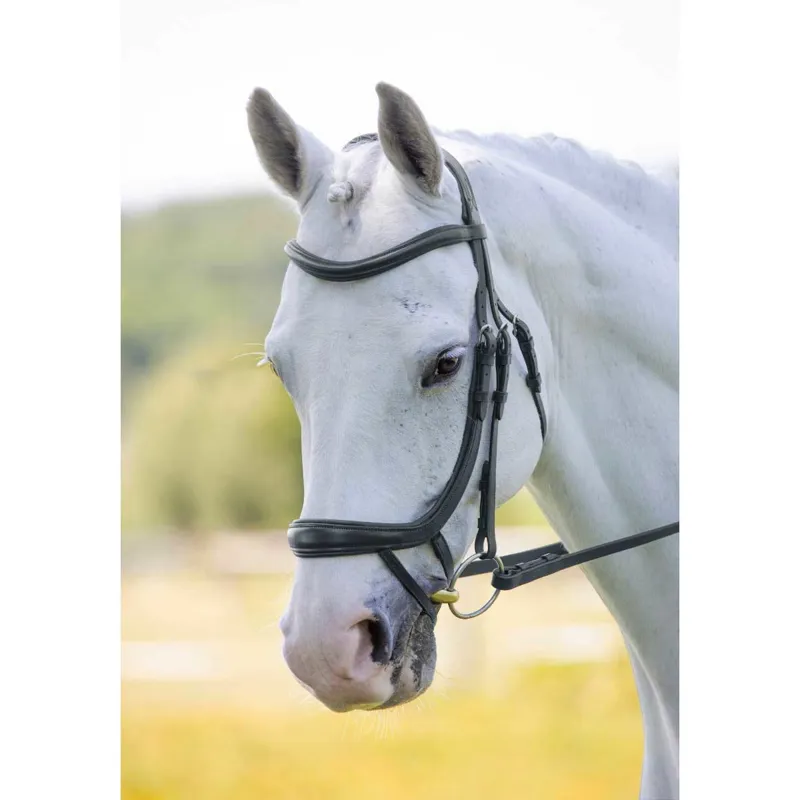 Velociti Ergonomic Curved Flash Bridle Black