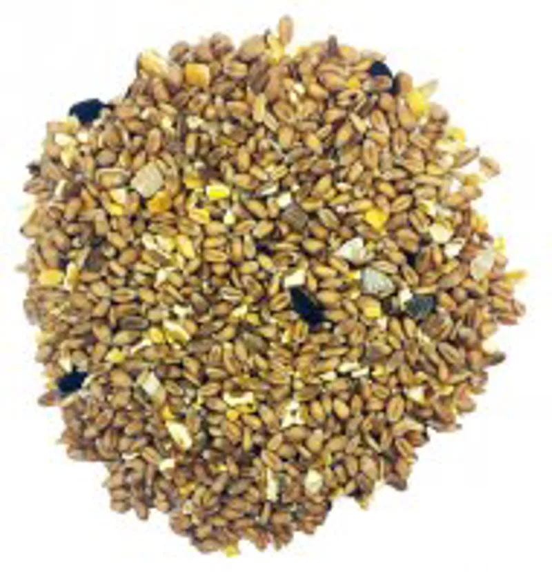 Fancy Feed Supreme Mixed Corn 5kg-1
