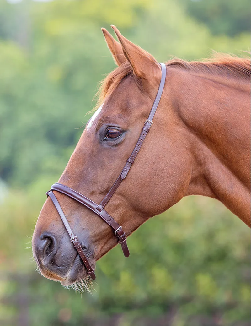 Blenheim Flash Noseband Black