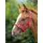 Shires Foal Headcollar In Red