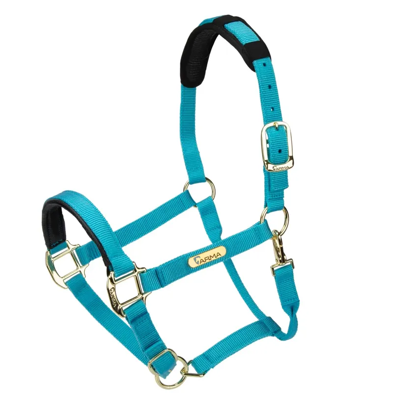  ARMA Topaz Nylon Headcollar Bright Blue