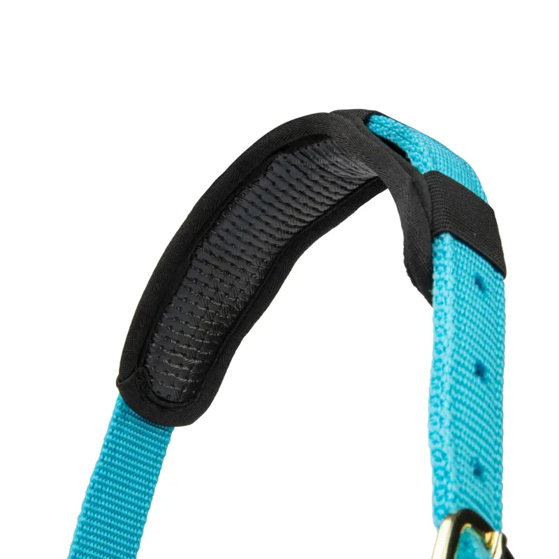 ARMA Topaz Nylon Headcollar Bright Blue-1