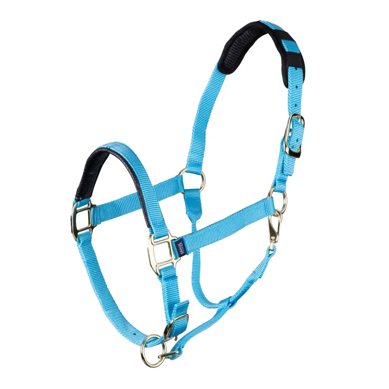 Shires Topaz Small Pony Nylon Headcollar In Blue