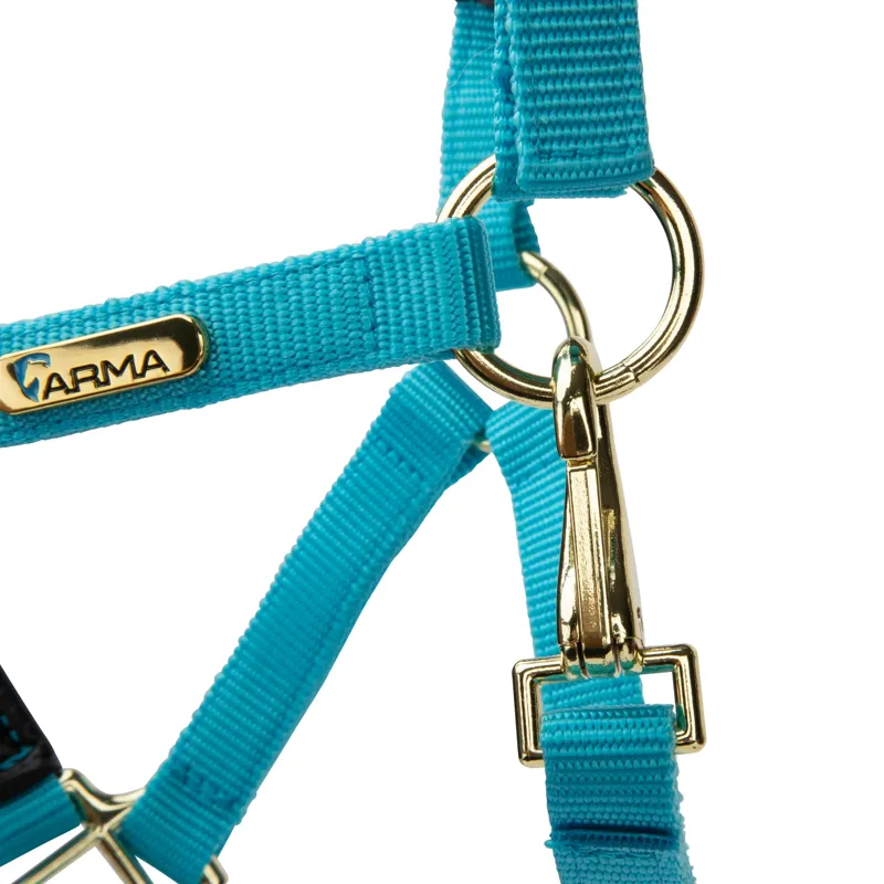  ARMA Topaz Nylon Headcollar Bright Blue-2