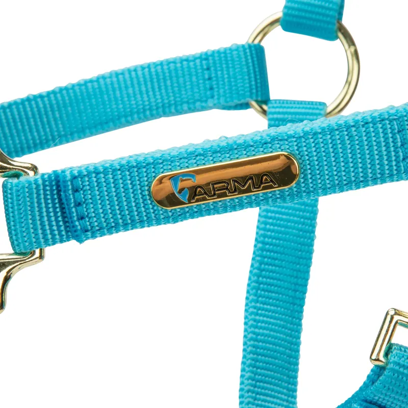  ARMA Topaz Nylon Headcollar Bright Blue-3