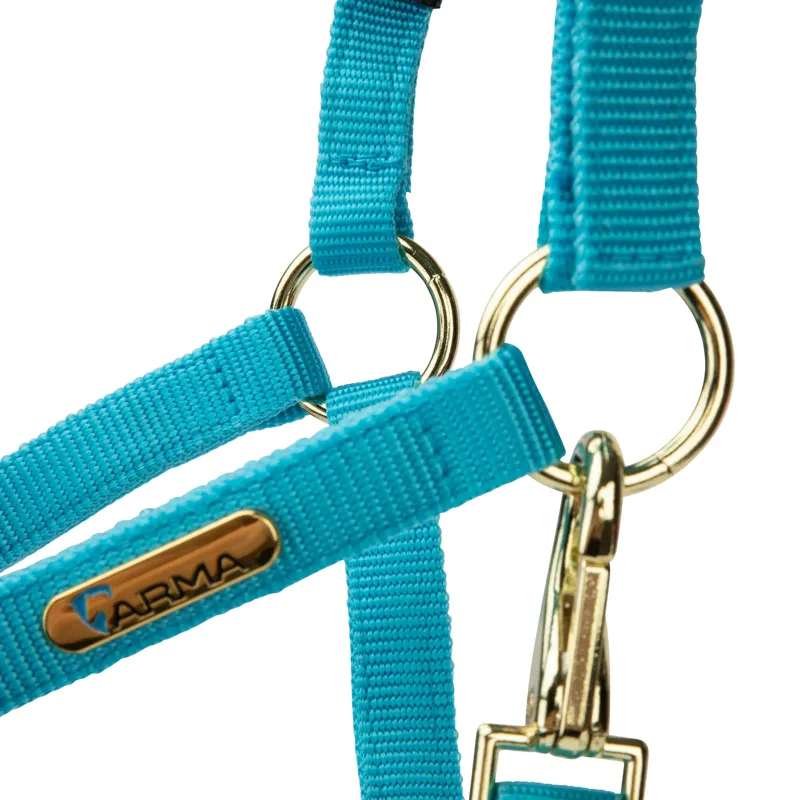  ARMA Topaz Nylon Headcollar Bright Blue-4