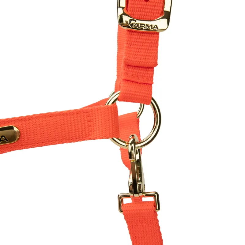  ARMA Topaz Nylon Headcollar Orange-1