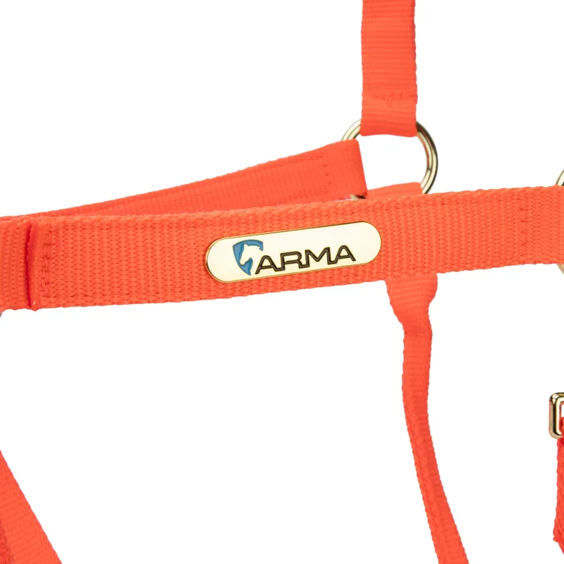  ARMA Topaz Nylon Headcollar Orange-2