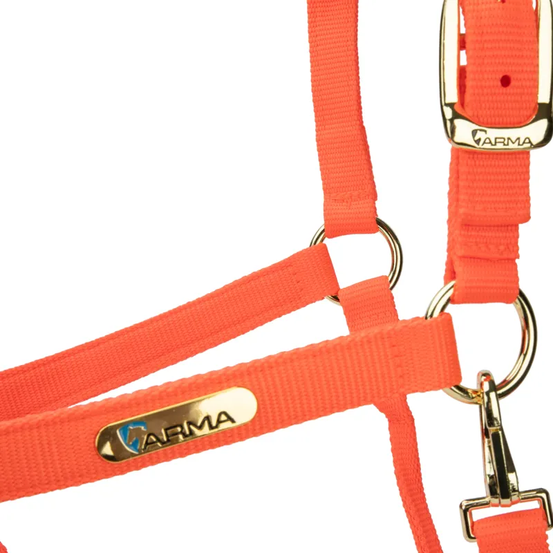  ARMA Topaz Nylon Headcollar Orange-3