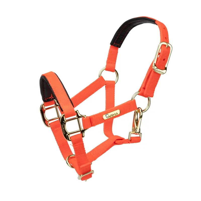  ARMA Topaz Nylon Headcollar Orange
