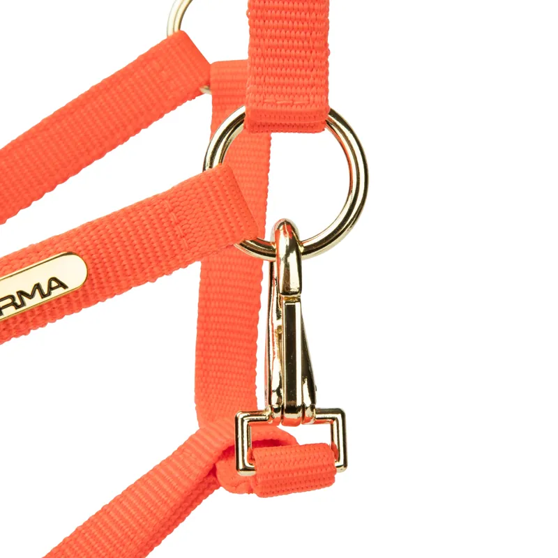  ARMA Topaz Nylon Headcollar Orange-4