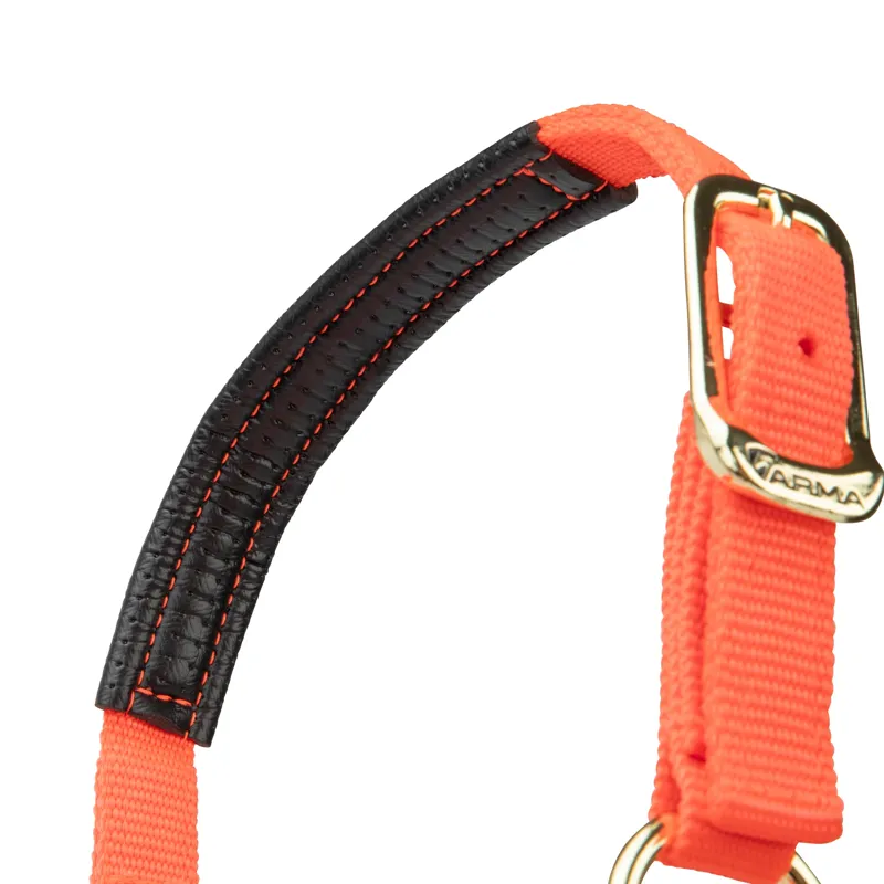  ARMA Topaz Nylon Headcollar Orange-5