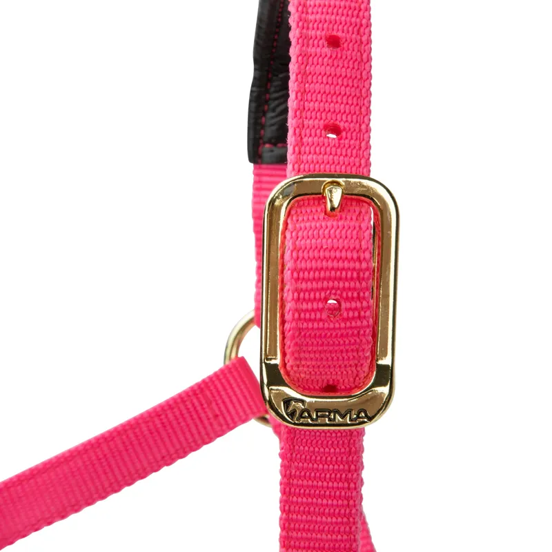  ARMA Topaz Nylon Headcollar Pink-1
