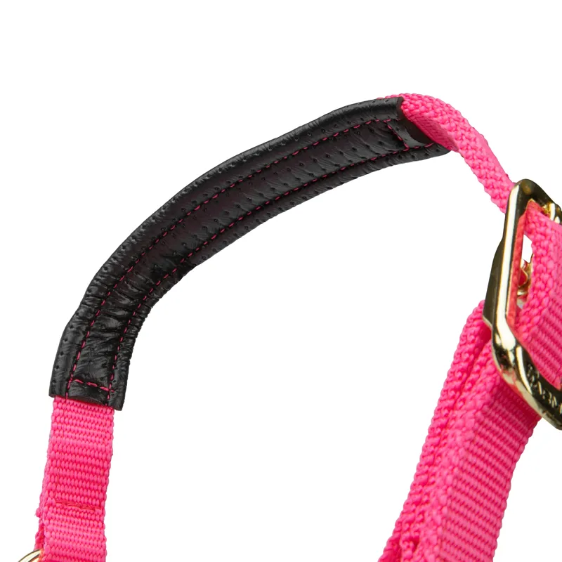  ARMA Topaz Nylon Headcollar Pink-4