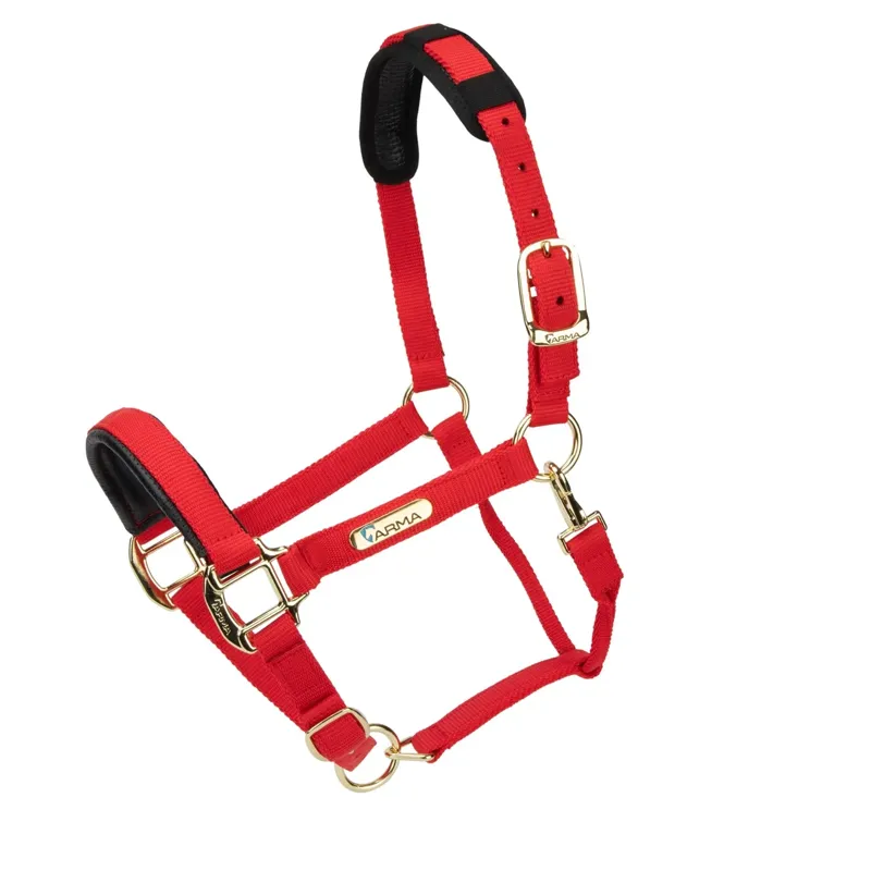  ARMA Topaz Nylon Headcollar Red