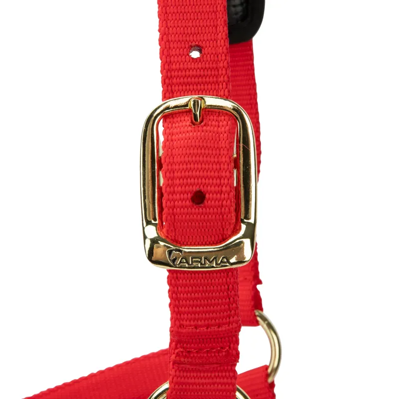  ARMA Topaz Nylon Headcollar Red-5