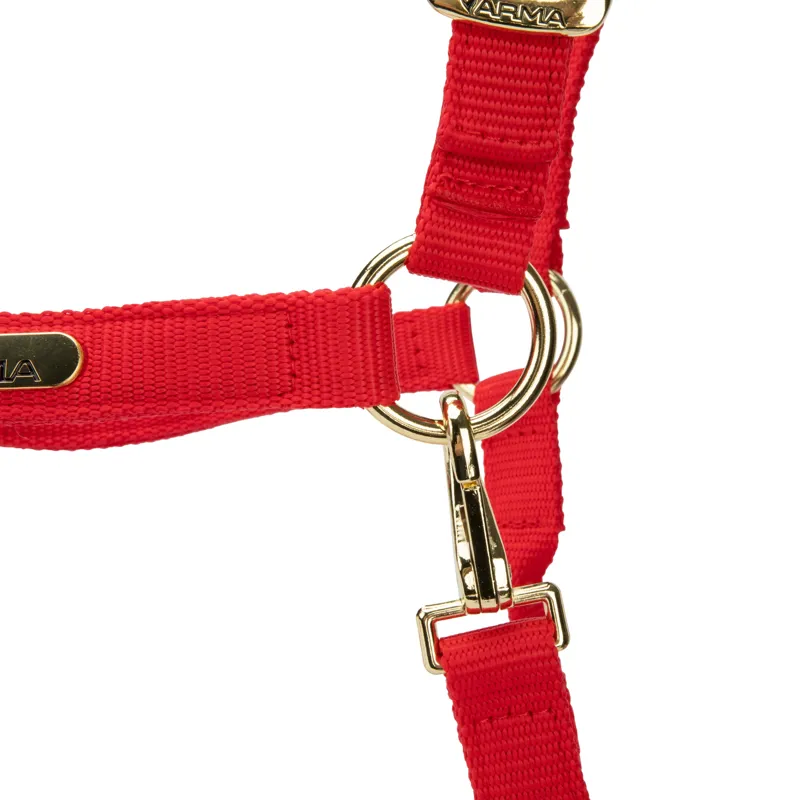  ARMA Topaz Nylon Headcollar Red-1