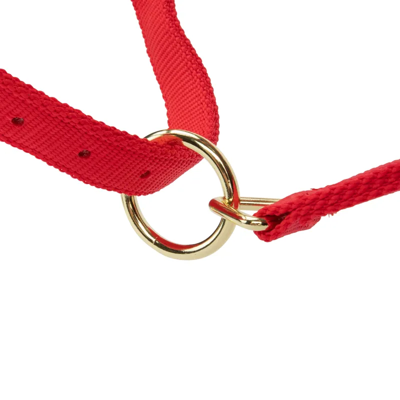  ARMA Topaz Nylon Headcollar Red-2