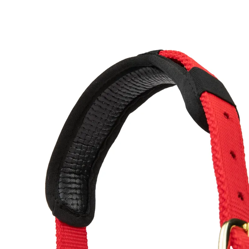  ARMA Topaz Nylon Headcollar Red-4