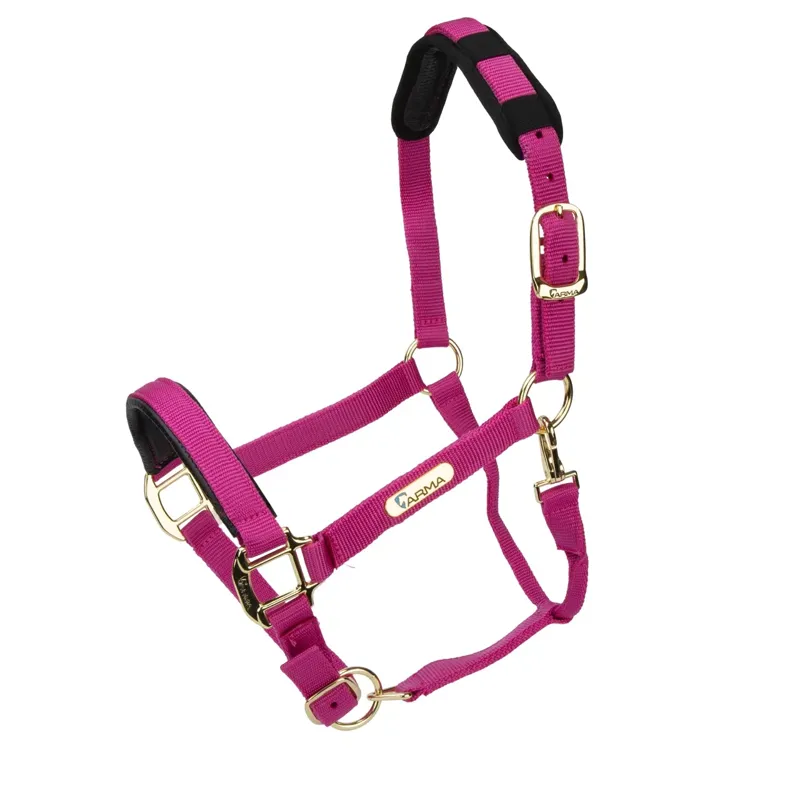 ARMA Topaz Nylon Headcollar Raspberry