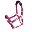 ARMA Topaz Nylon Headcollar Raspberry