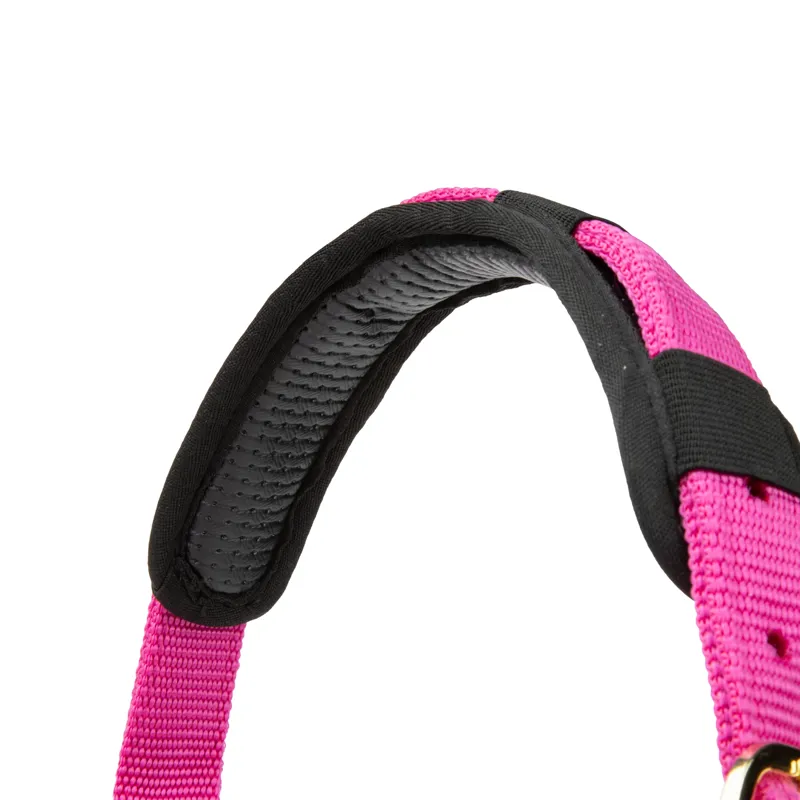 ARMA Topaz Nylon Headcollar Raspberry-1