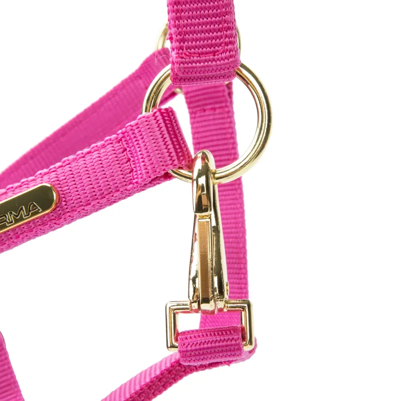 ARMA Topaz Nylon Headcollar Raspberry-2