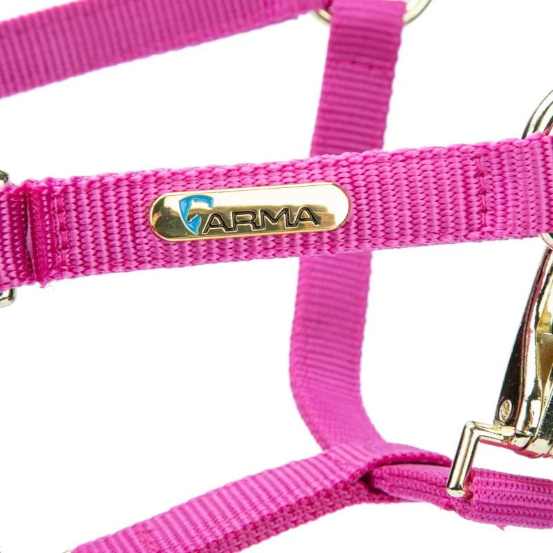 ARMA Topaz Nylon Headcollar Raspberry-3