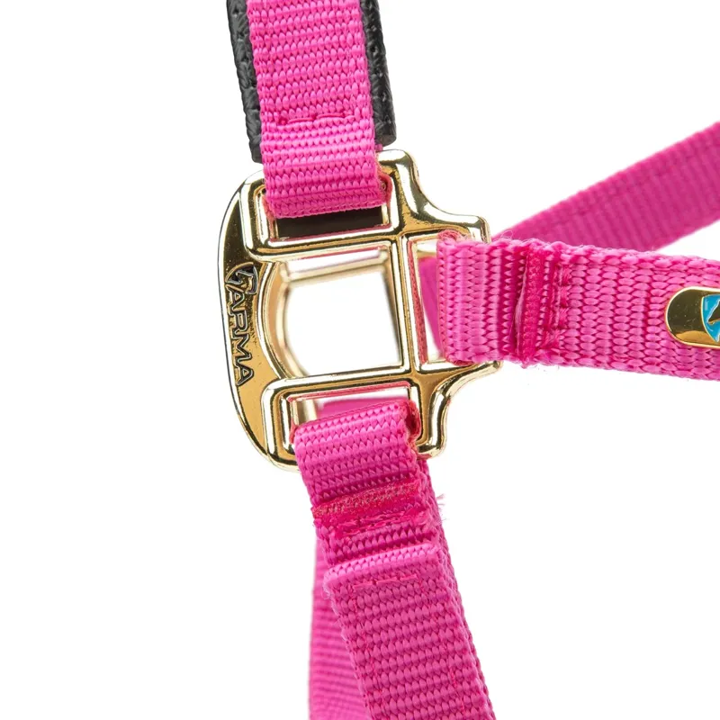 ARMA Topaz Nylon Headcollar Raspberry-4
