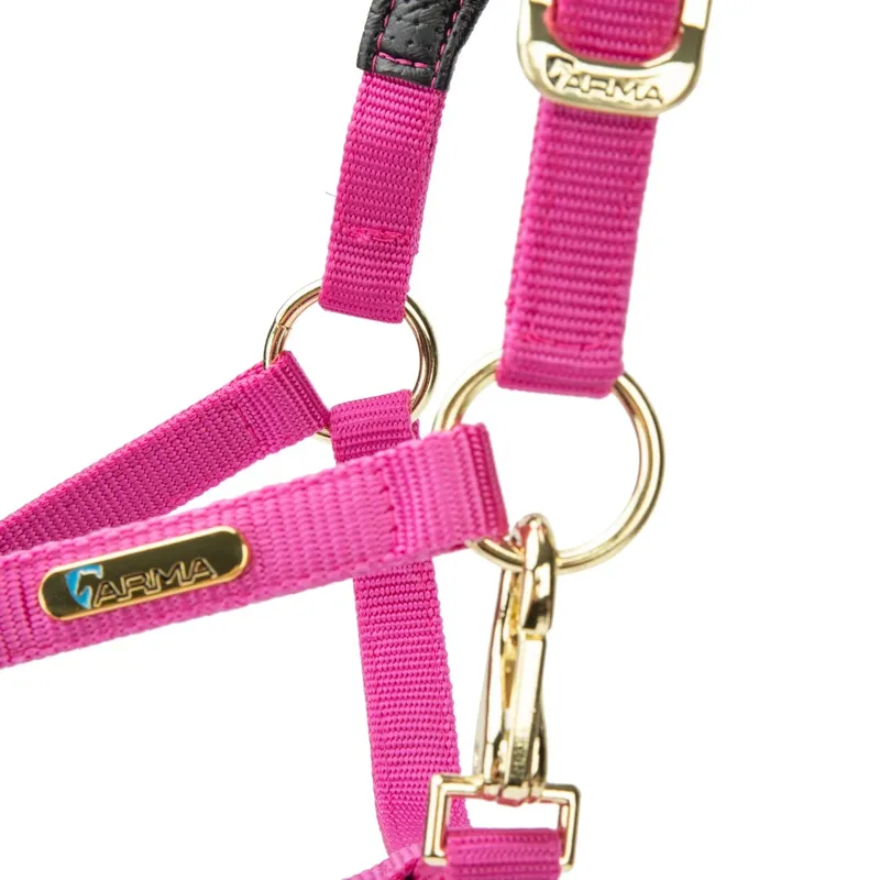 ARMA Topaz Nylon Headcollar Raspberry-5