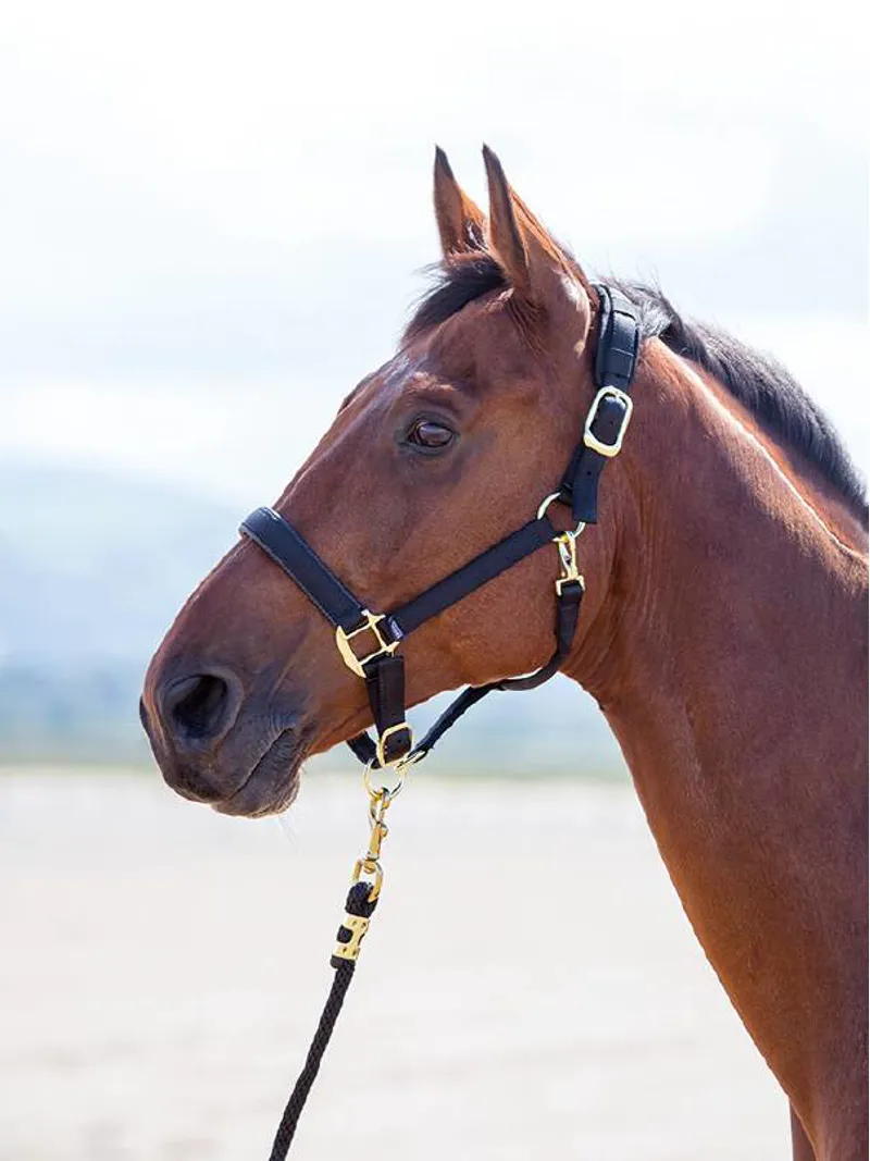 Shires Topaz Pony Nylon Headcollar In Black