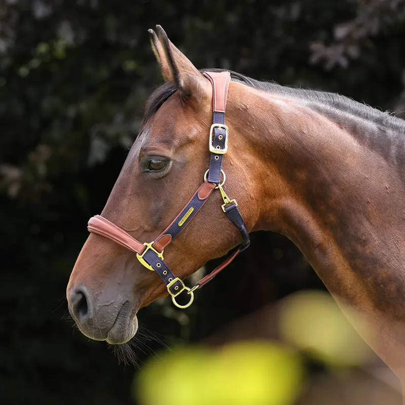 Velociti Lusso Padded Leather Headcollar Navy-3