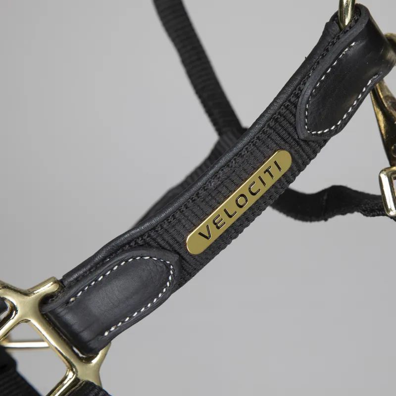 Velociti Lusso Padded Leather Headcollar Black-1