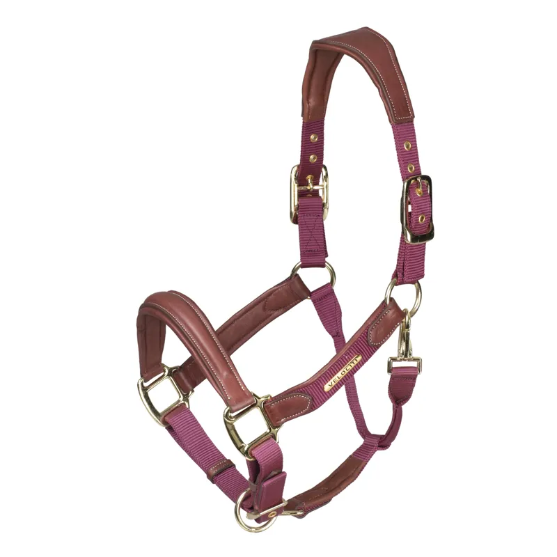 Velociti Lusso Padded Leather Headcollar Burgundy