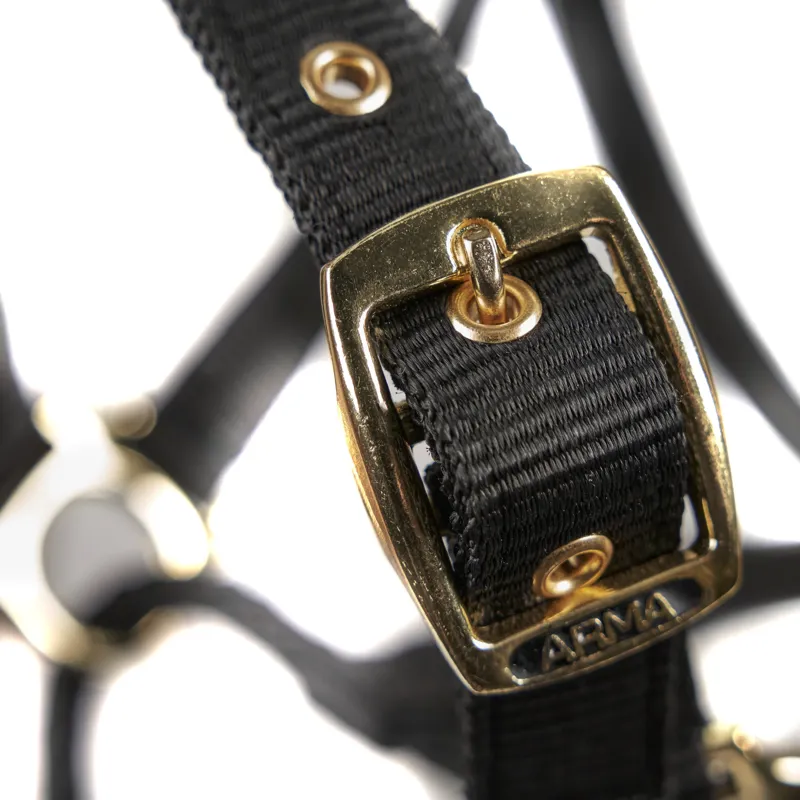 ARMA Control Headcollar Black-1