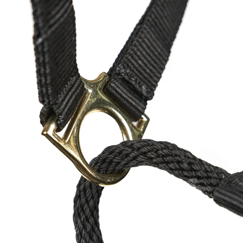 ARMA Control Headcollar Black-2