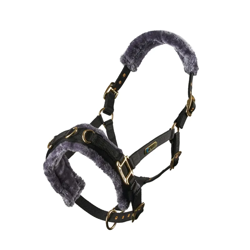 ARMA Fleece Lined Lunge Cavesson Black