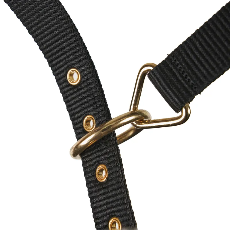ARMA Fleece Lined Lunge Cavesson Black-1