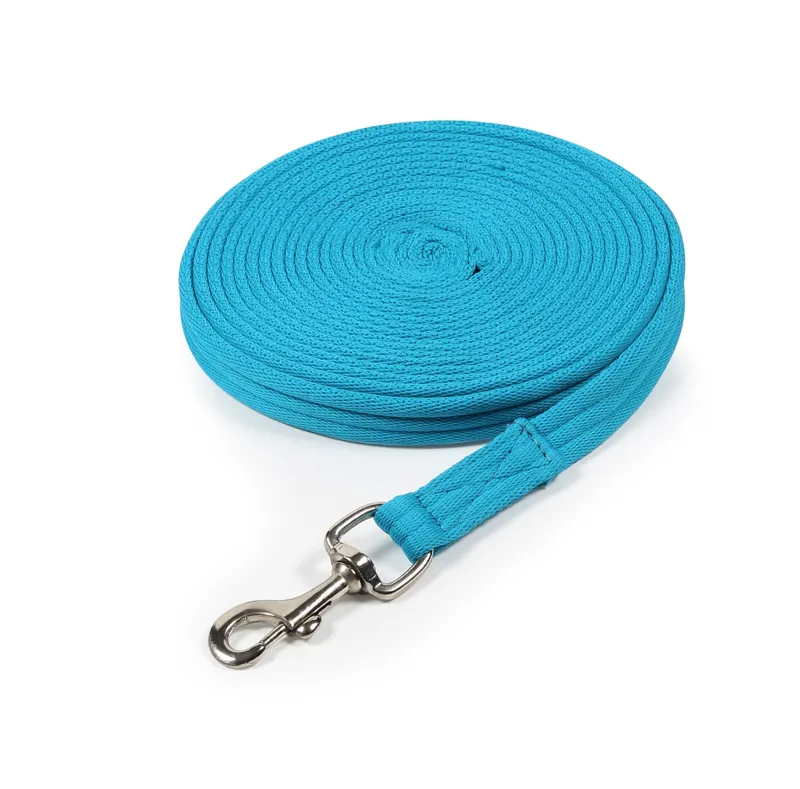 Arma Cushion Web Lunge Line Blue 8m