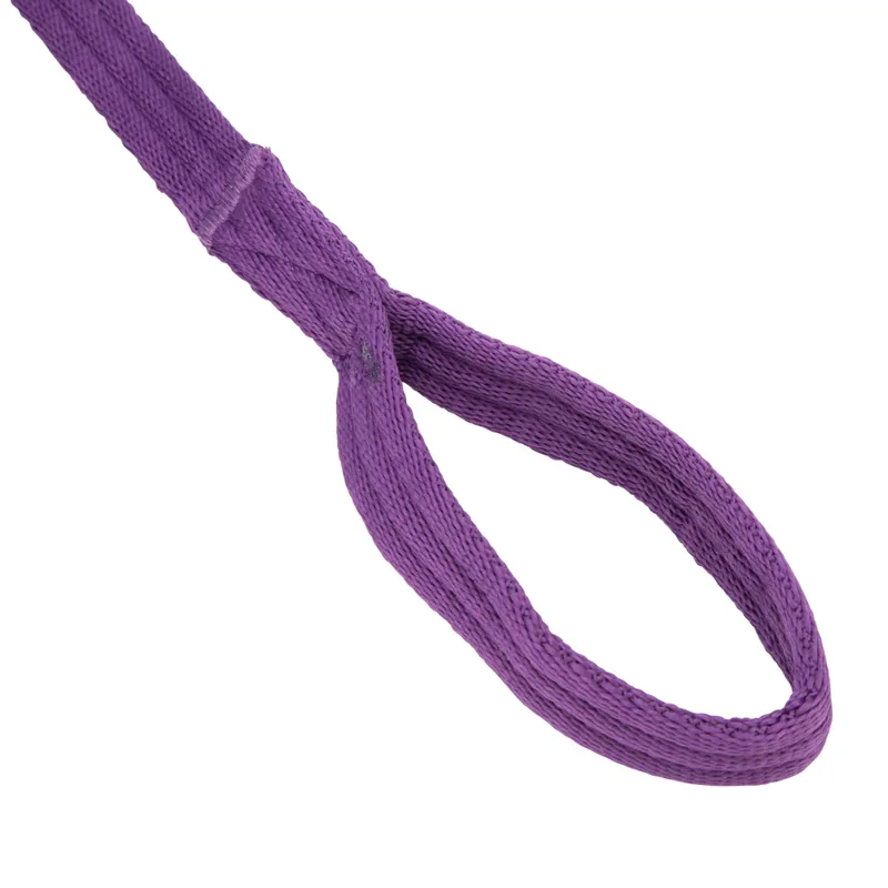 ARMA Cushion Web Lunge Line Plum 8m/26'-2