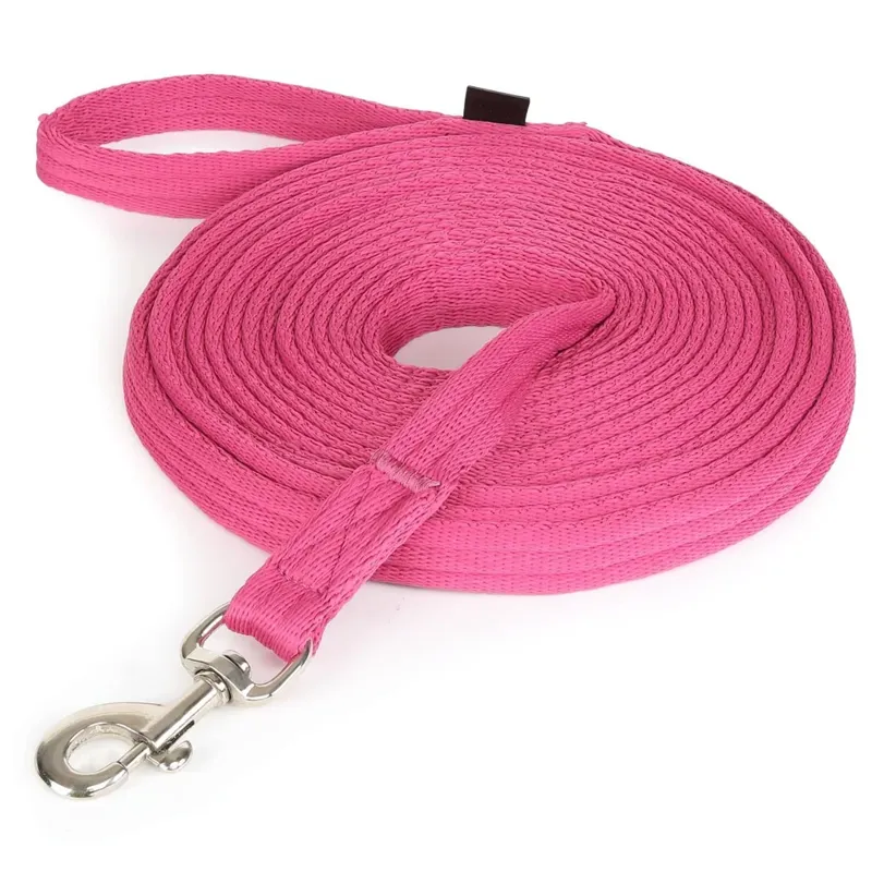 ARMA Cushion Web Lunge Line Raspberry 8m/26'