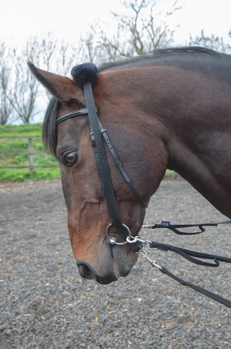ARMA Lunging Adapter Black