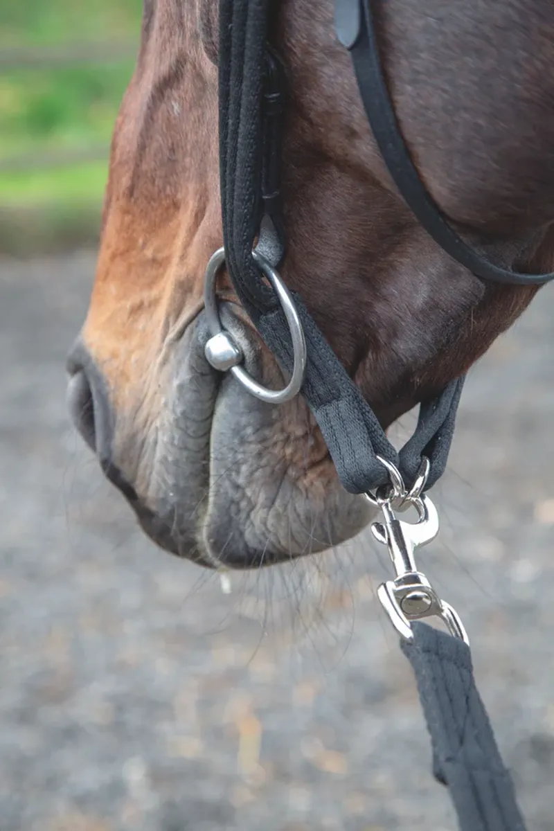 ARMA Lunging Adapter Black-1