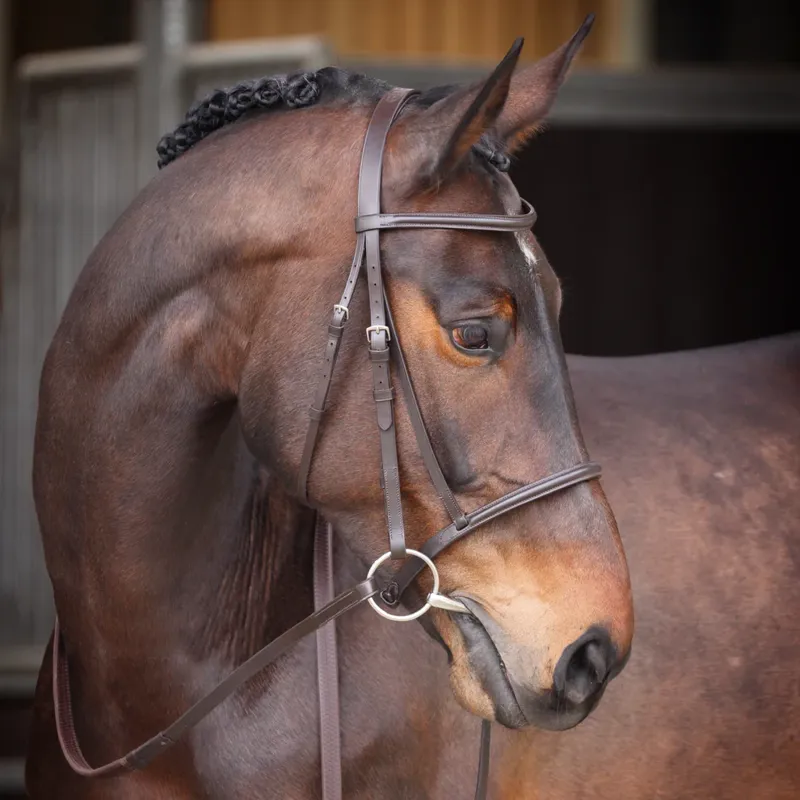 Velociti GARA Raised Cavesson Bridle Havana