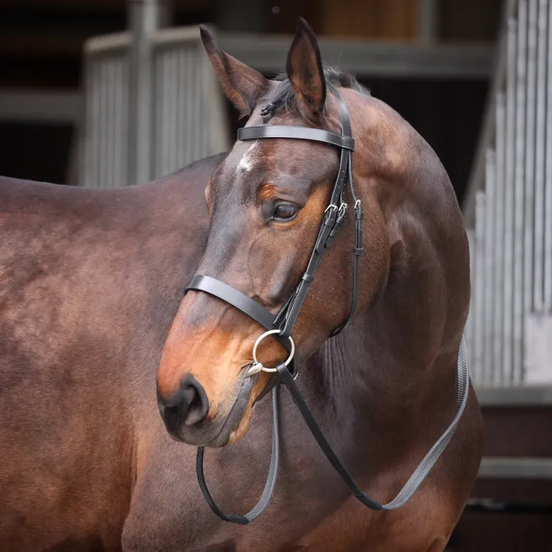 Velociti GARA Plain Bridle Black