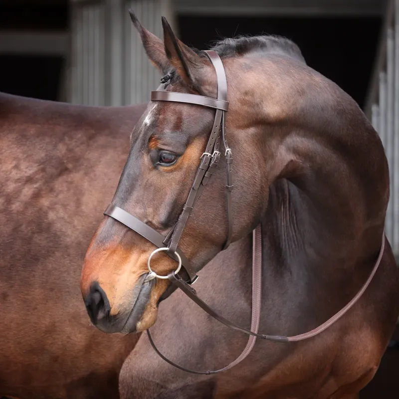 Velociti GARA Plain Bridle Havana