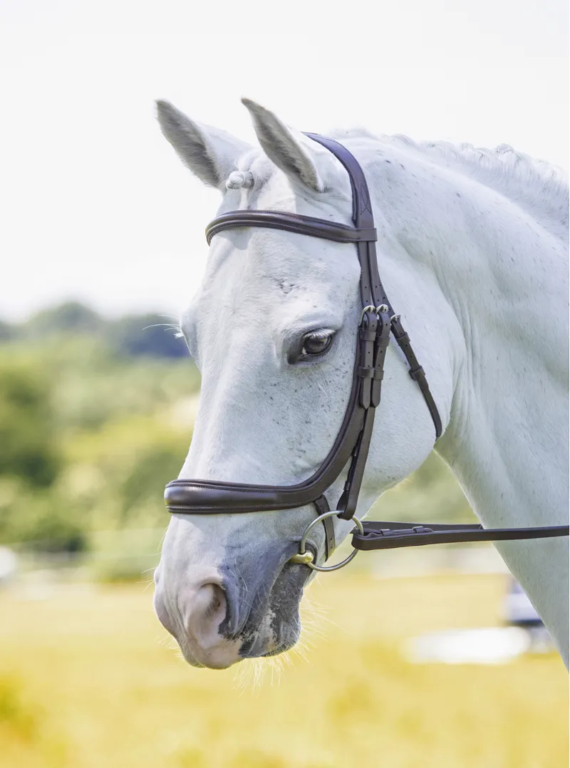 Velociti Ergonomic Cavesson Bridle Havana
