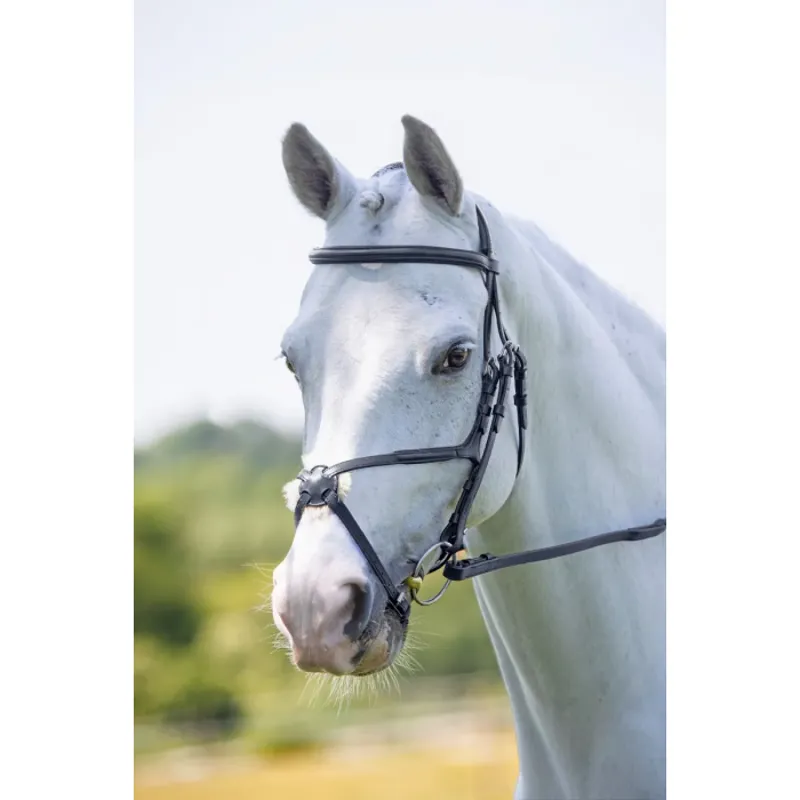 Velociti Grackle Bridle Black
